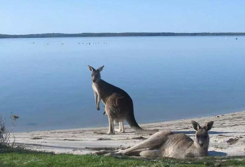 Hotelli Waterfront Retreat At Wattle Point