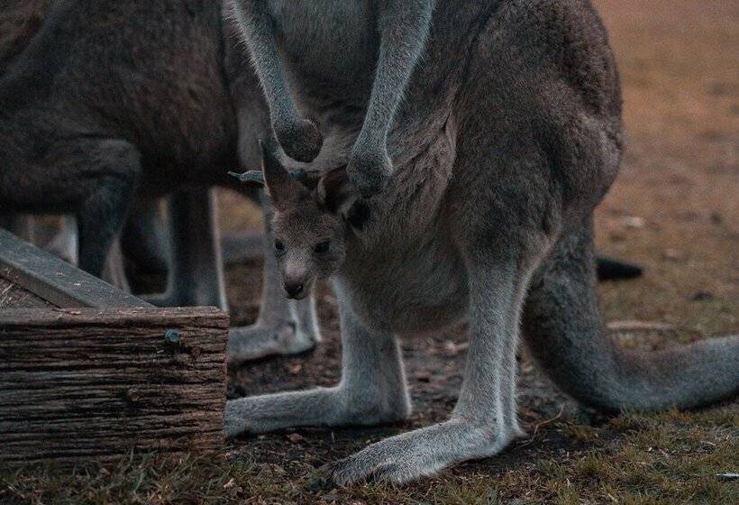 Отель Waterfront Retreat At Wattle Point