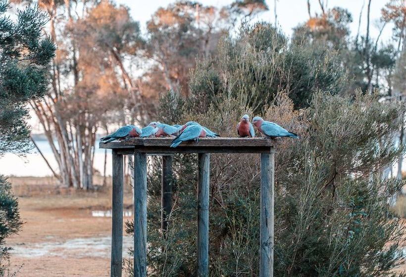 Отель Waterfront Retreat At Wattle Point