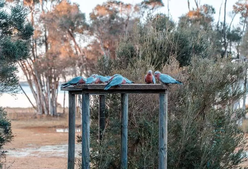 Hotelli Waterfront Retreat At Wattle Point