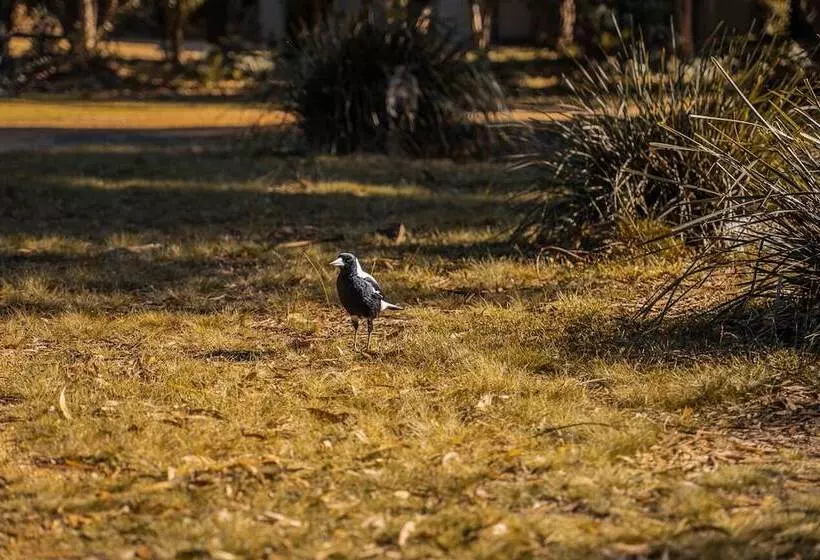 Hotelli Waterfront Retreat At Wattle Point