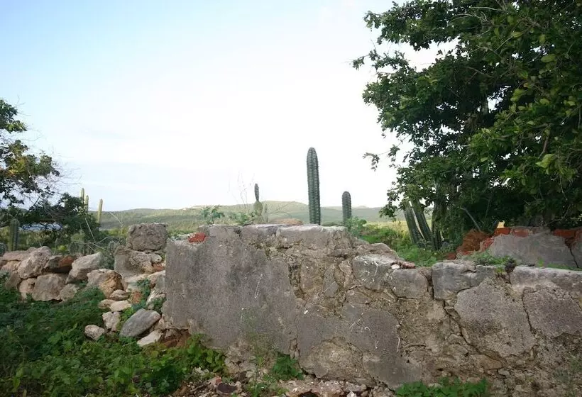 Landhuis Klein Santa Martha Boutique Hotel Restaurant