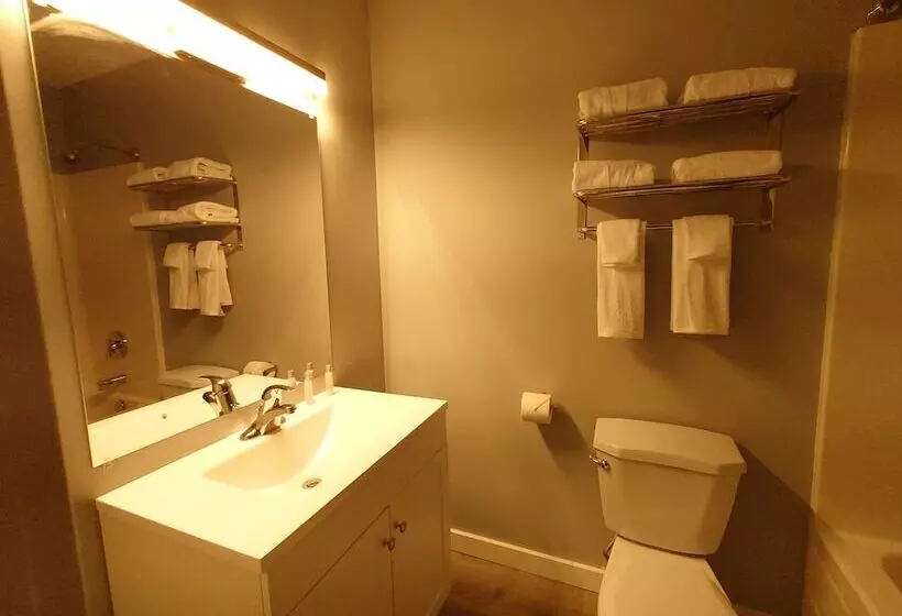 Motelli Traveler S Inn