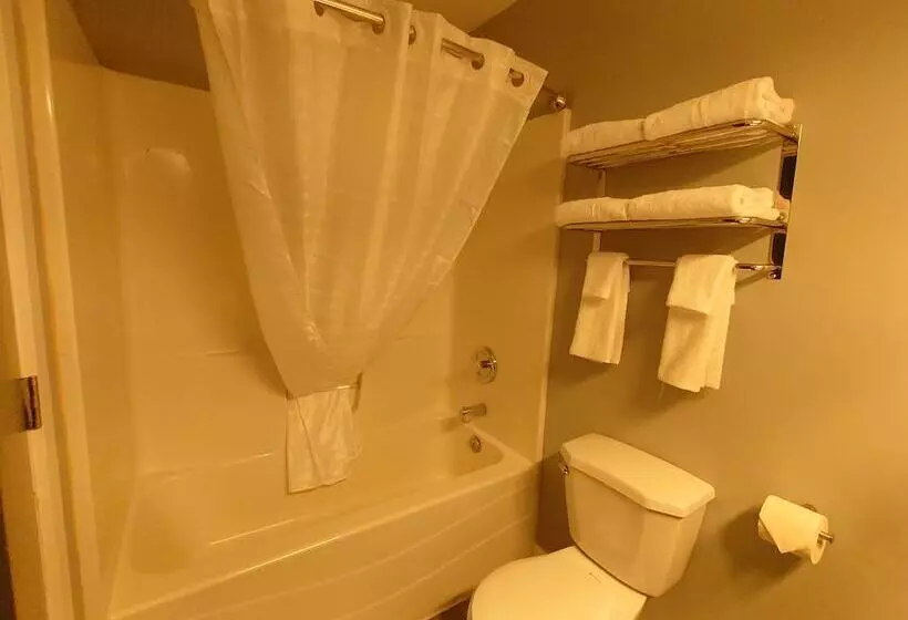 Motelli Traveler S Inn