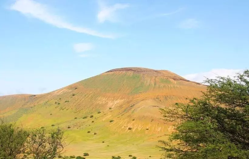پانسیون Farinha De Pau   Eco Rural Project