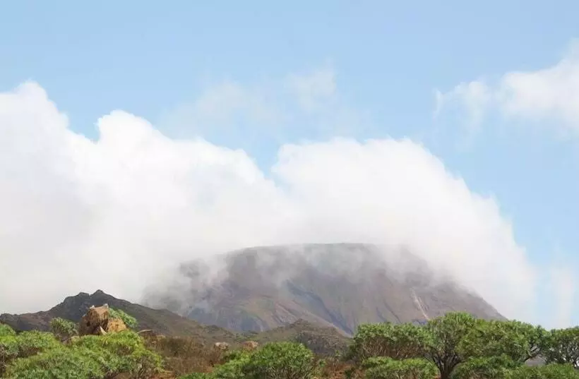 پانسیون Farinha De Pau   Eco Rural Project