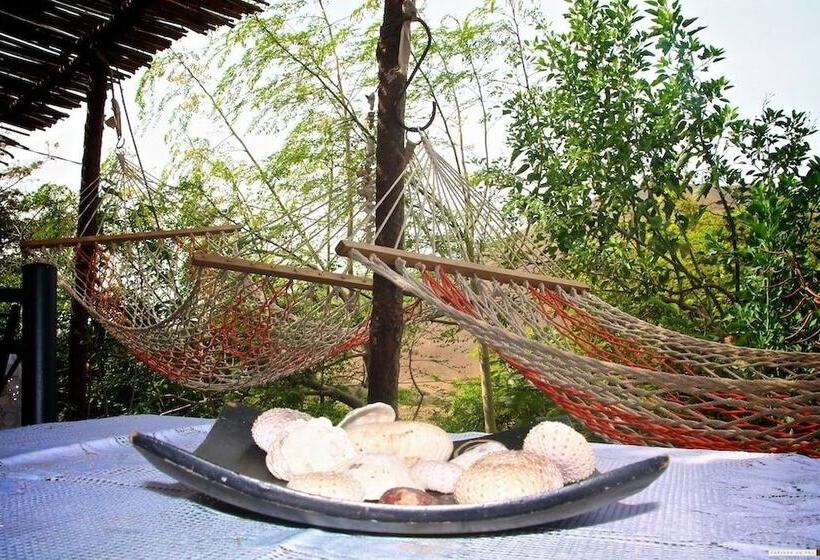 پانسیون Farinha De Pau Eco Rural Project