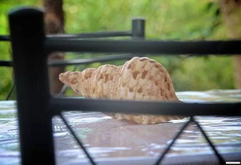 پانسیون Farinha De Pau   Eco Rural Project