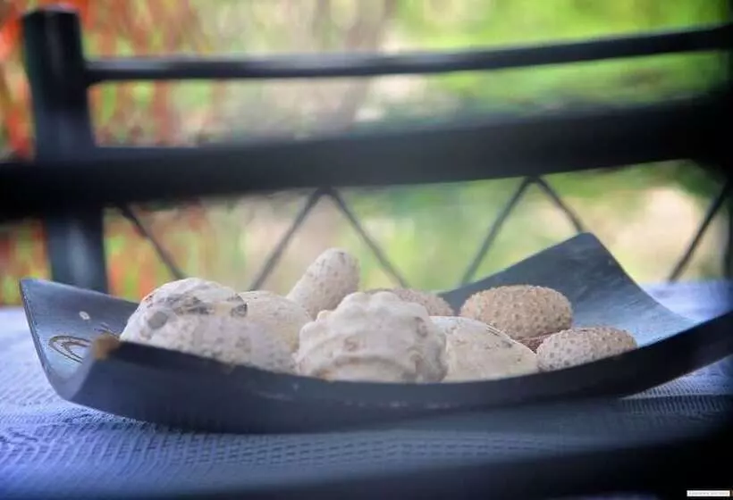 پانسیون Farinha De Pau   Eco Rural Project