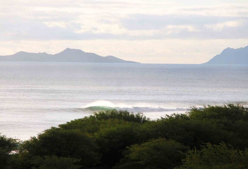 پانسیون Farinha De Pau Eco Rural Project