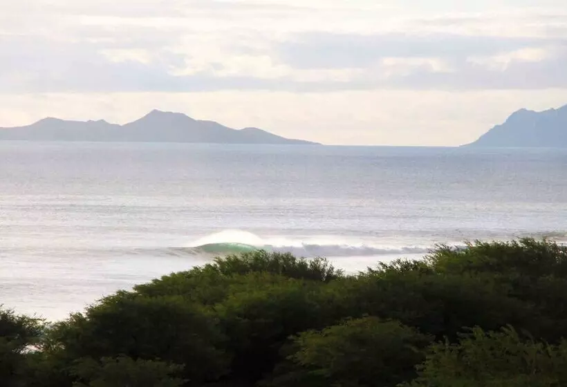 پانسیون Farinha De Pau   Eco Rural Project