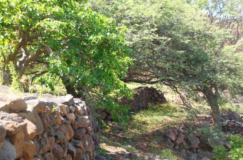 پانسیون Farinha De Pau Eco Rural Project