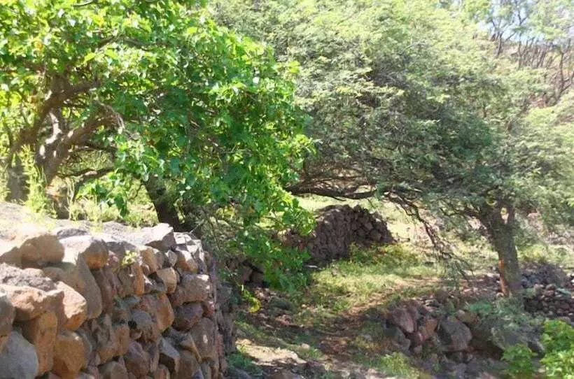 پانسیون Farinha De Pau   Eco Rural Project