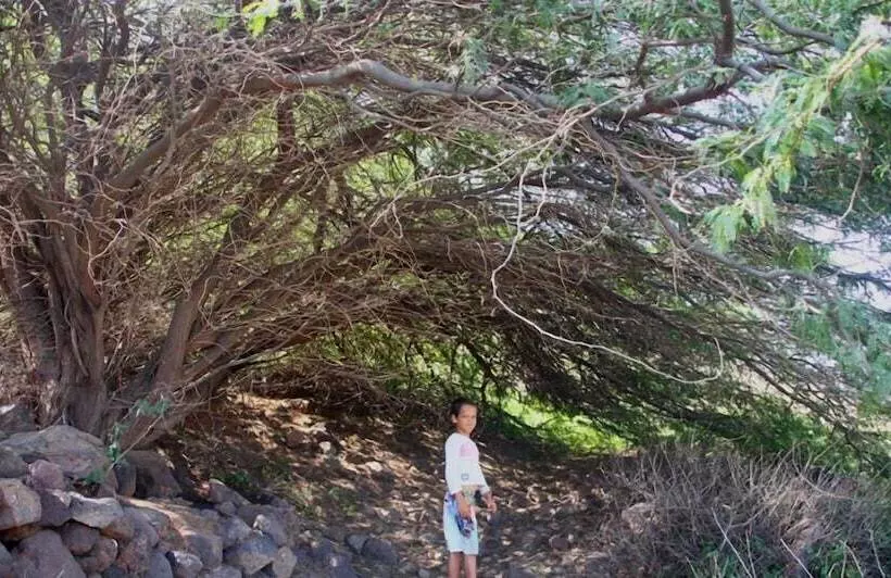 پانسیون Farinha De Pau   Eco Rural Project