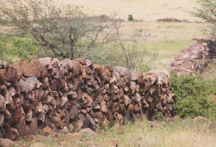 پانسیون Farinha De Pau Eco Rural Project