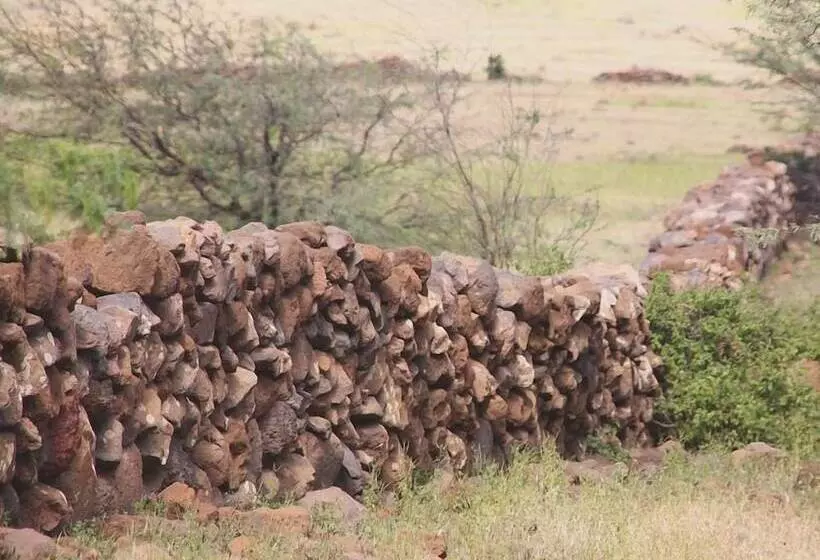 پانسیون Farinha De Pau   Eco Rural Project