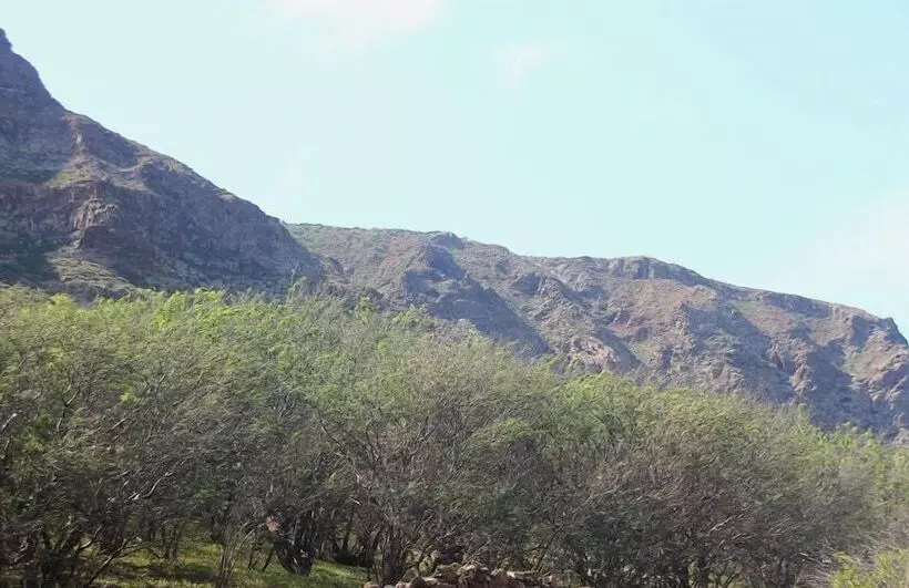 پانسیون Farinha De Pau   Eco Rural Project