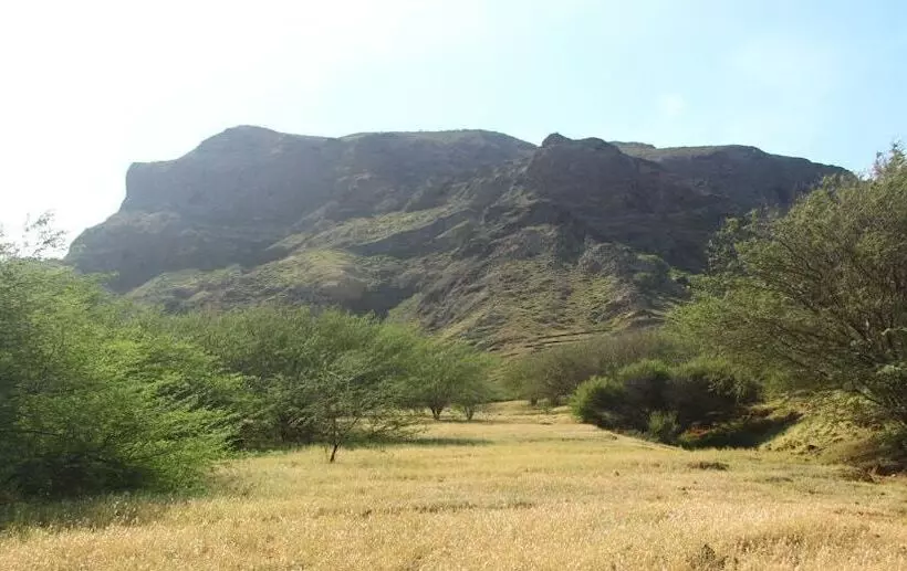 پانسیون Farinha De Pau   Eco Rural Project