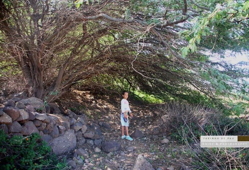 پانسیون Farinha De Pau Eco Rural Project