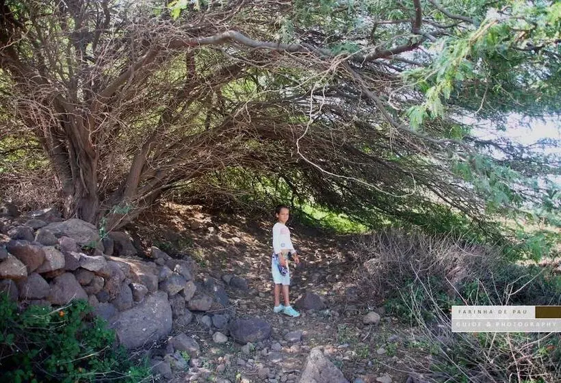 پانسیون Farinha De Pau   Eco Rural Project