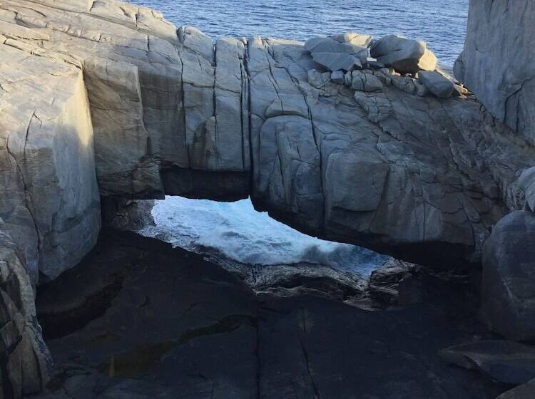 渡假胜地  Tasman Holiday Parks   Albany