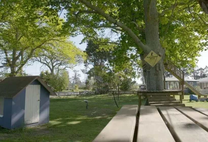 リゾートホテル Te Aroha Holiday Park And Hot Pools
