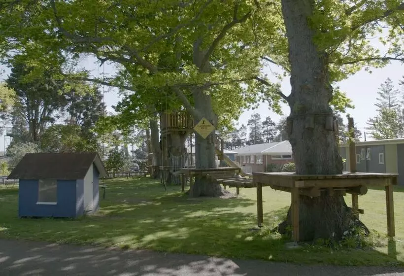 リゾートホテル Te Aroha Holiday Park And Hot Pools