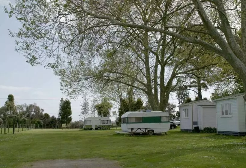 リゾートホテル Te Aroha Holiday Park And Hot Pools