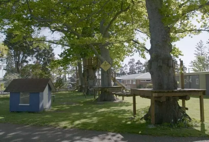 リゾートホテル Te Aroha Holiday Park And Hot Pools
