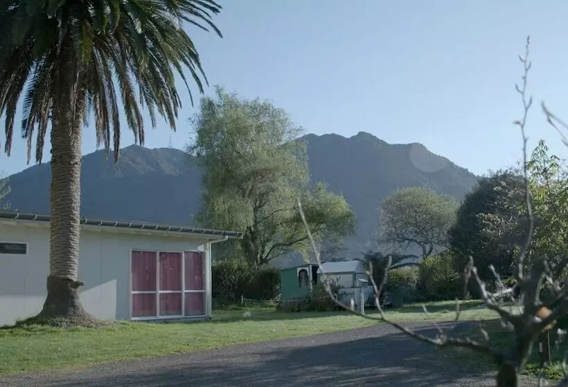 リゾートホテル Te Aroha Holiday Park And Hot Pools