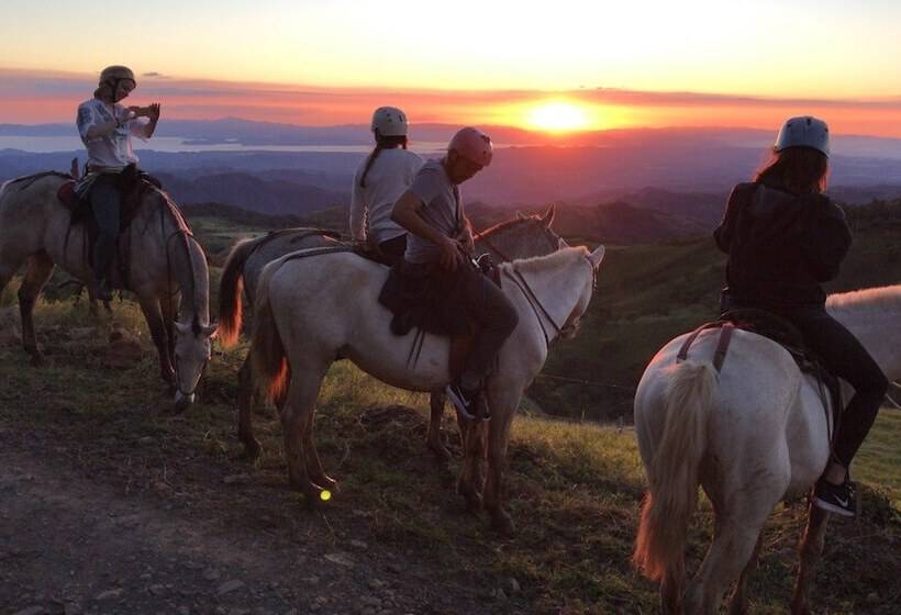 فندق فئة نجمة واحدة Roca Verde
