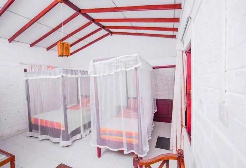 Отель Latheena Resort