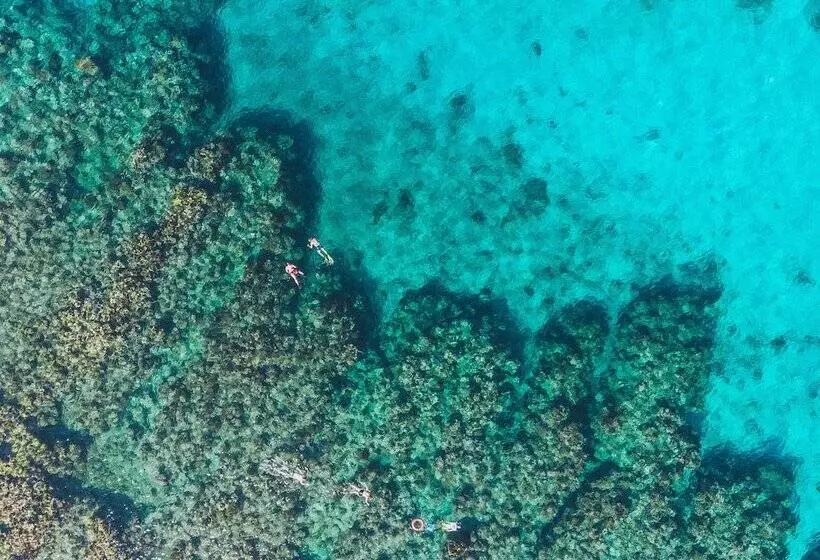 هتل Tranquilseas Eco Lodge & Dive Center