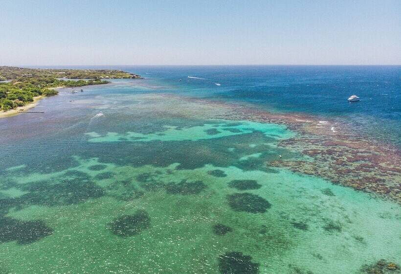 هتل Tranquilseas Eco Lodge & Dive Center