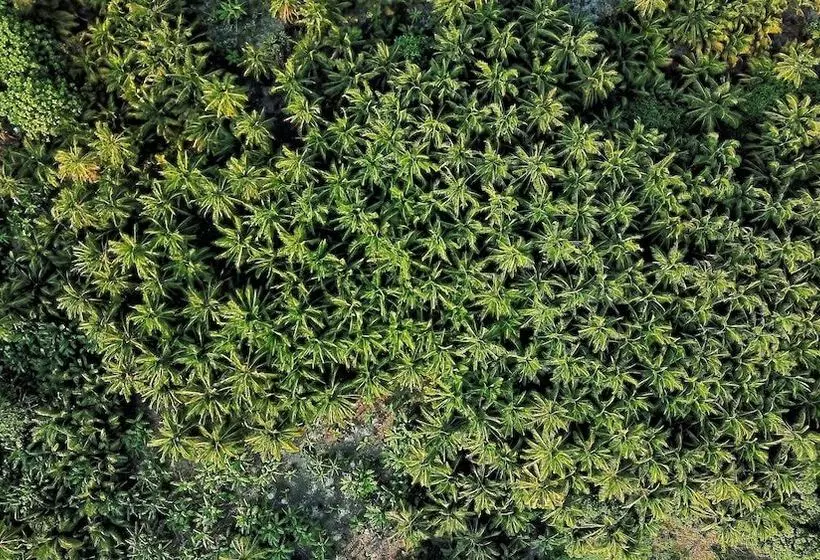 هتل Global Residence