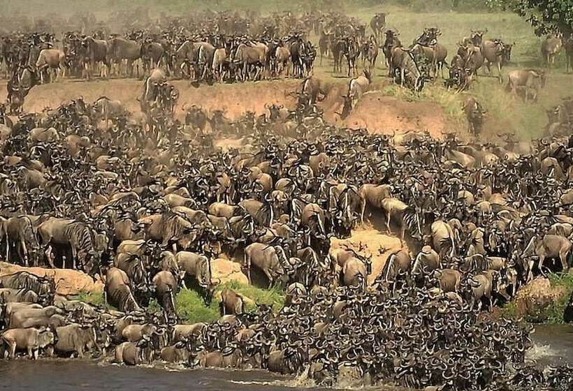 هتل Mara Big Five Lodge