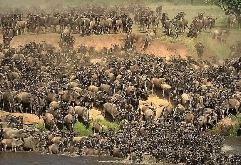 هتل Mara Big Five Lodge