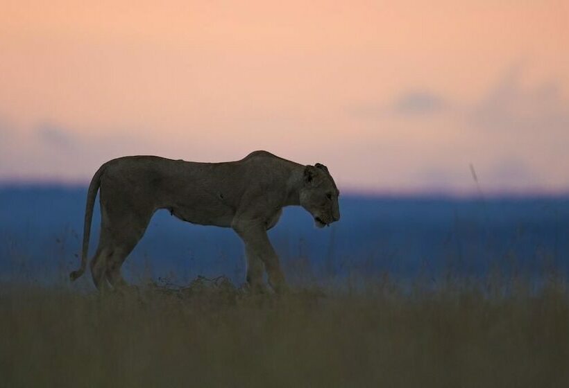 هتل Mara Big Five Lodge