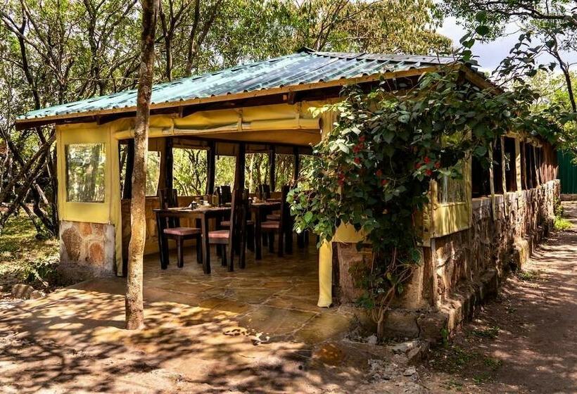 هتل Mara Big Five Lodge