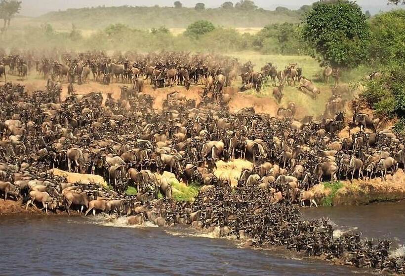 هتل Mara Big Five Lodge