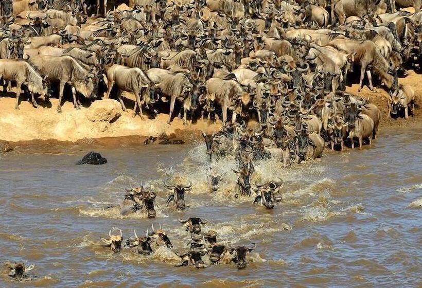 هتل Mara Big Five Lodge