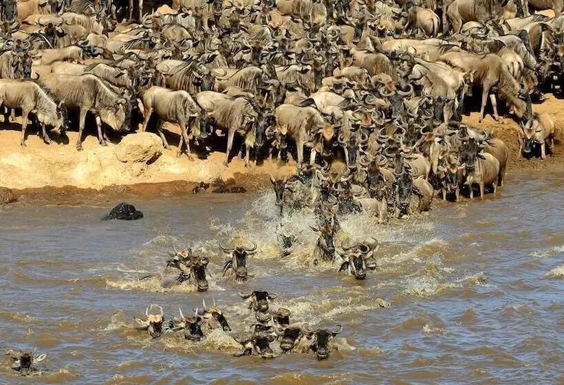 هتل Mara Big Five Lodge