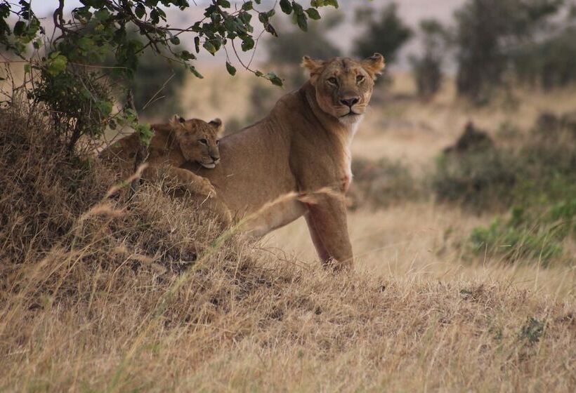 هتل Spirit Of The Masai Mara