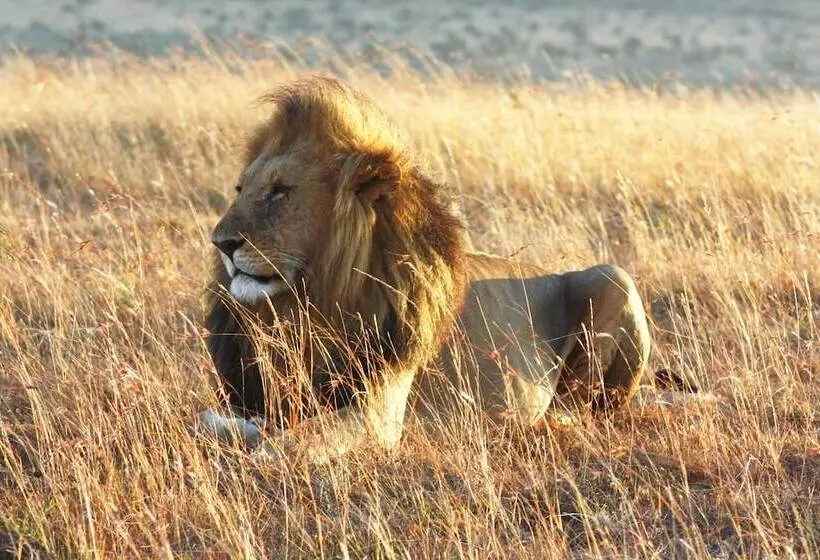 هتل Spirit Of The Masai Mara