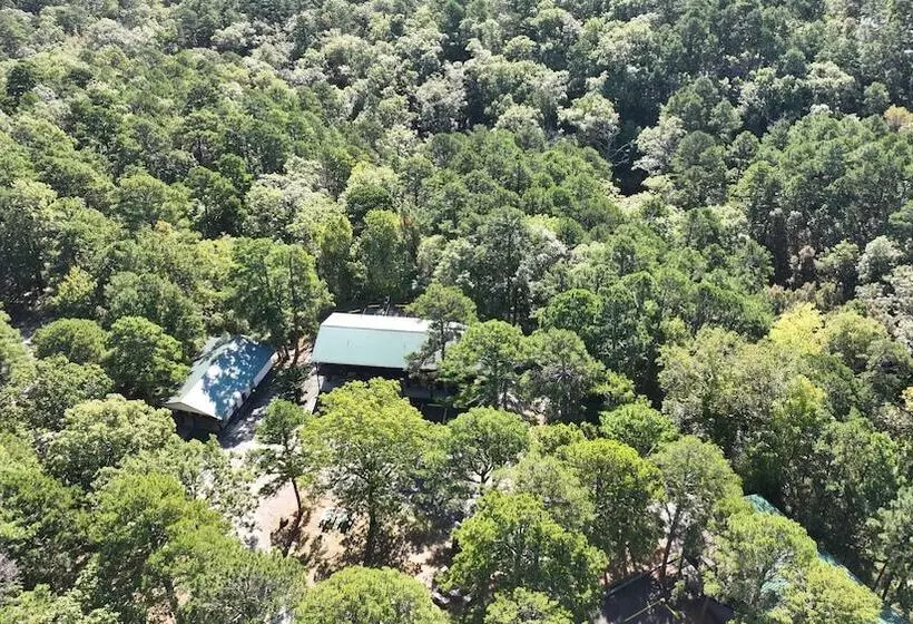 هتل Travelers Inn