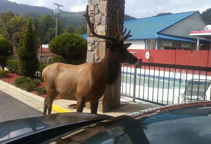 모텔 Cherokee Lodge