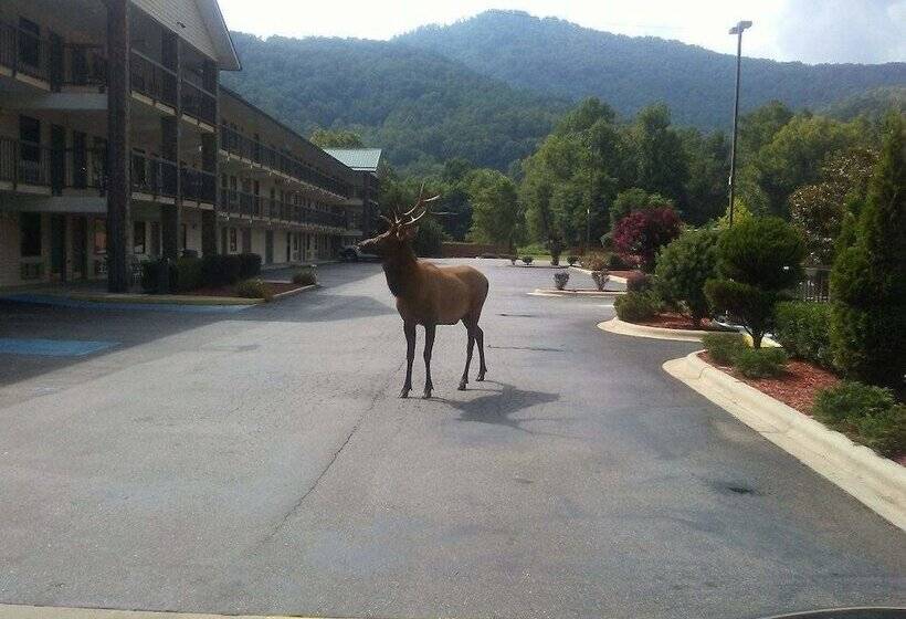 모텔 Cherokee Lodge