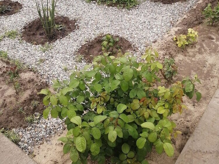 פנסיון V Gostyakh U Baby Poli