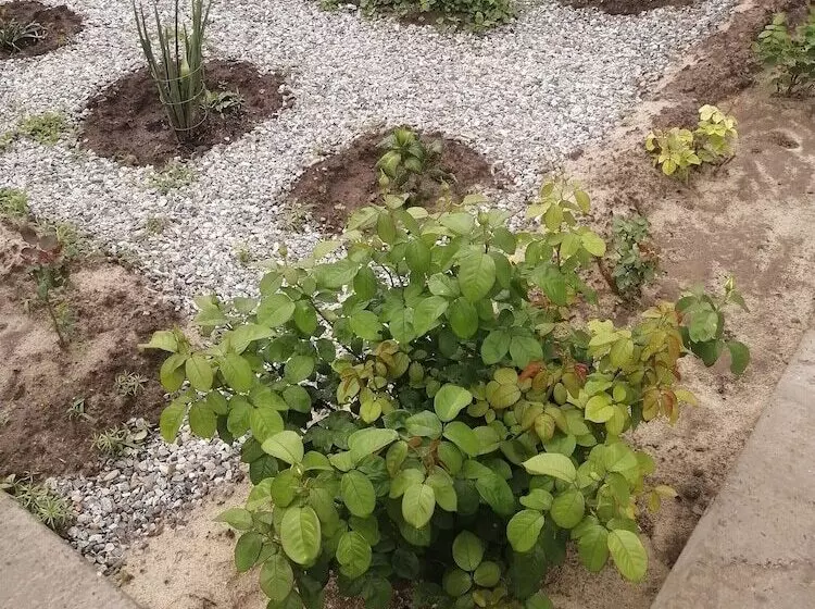 Majatalo V Gostyakh U Baby Poli