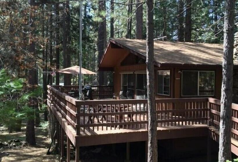 Scenic Wonders Papa Bear Cabin 3 Bedroom